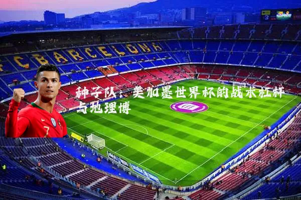 种子队:美加墨世界杯的战术杠杆与地理博弈